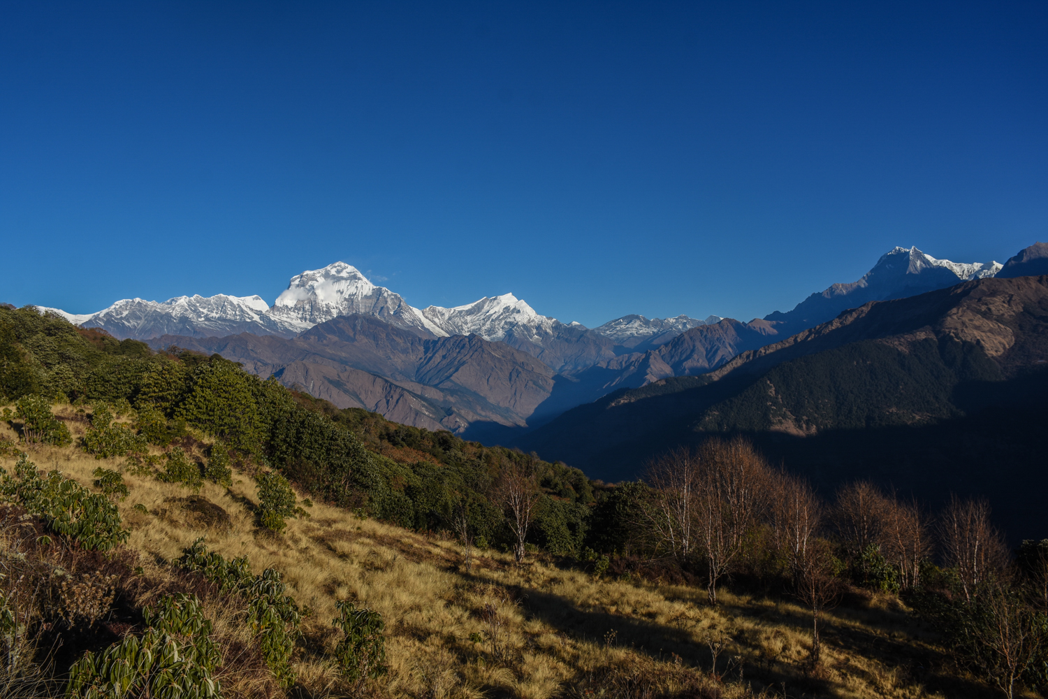 Dhaulagiri Circuit Trek